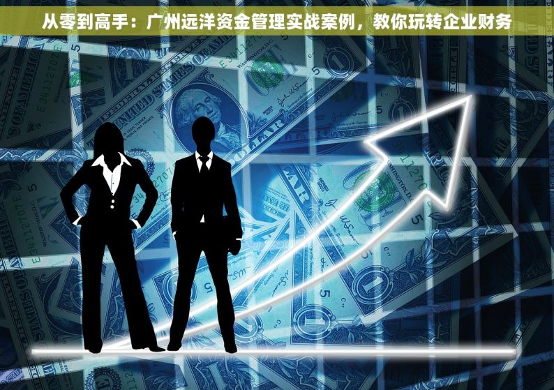 从零到高手：广州远洋资金管理实战案例，教你玩转企业财务