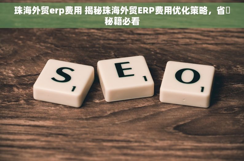 珠海外贸erp费用 揭秘珠海外贸ERP费用优化策略，省錢秘籍必看