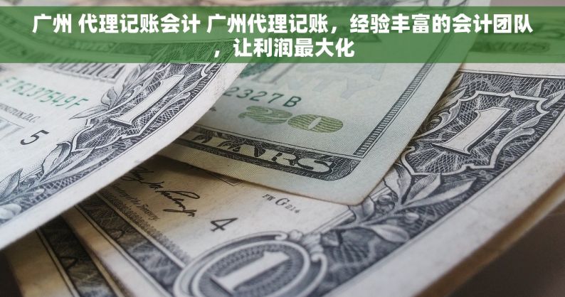 广州 代理记账会计 广州代理记账，经验丰富的会计团队，让利润最大化
