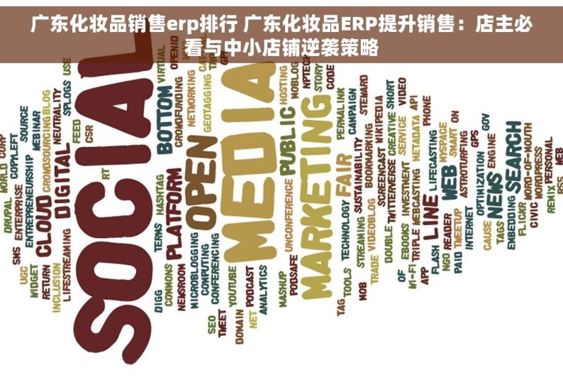 广东化妆品销售erp排行 广东化妆品ERP提升销售：店主必看与中小店铺逆袭策略
