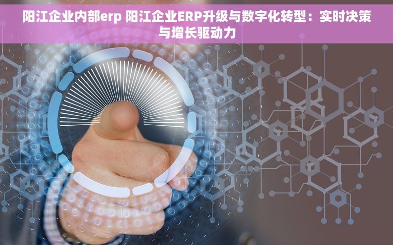 阳江企业内部erp 阳江企业ERP升级与数字化转型：实时决策与增长驱动力