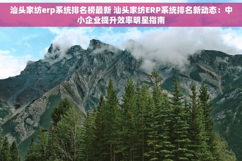 汕头家纺erp系统排名榜最新 汕头家纺ERP系统排名新动态：中小企业提升效率明星指南