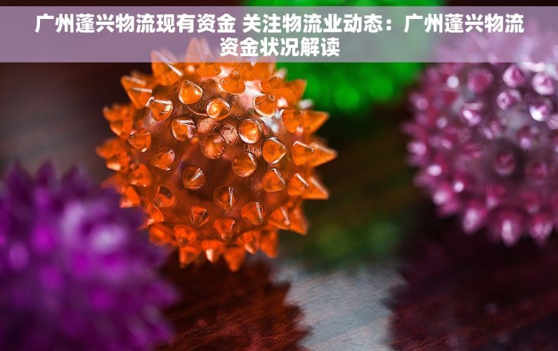 广州蓬兴物流现有资金 关注物流业动态：广州蓬兴物流资金状况解读
