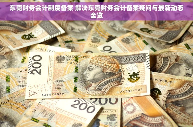 东莞财务会计制度备案 解决东莞财务会计备案疑问与最新动态全览