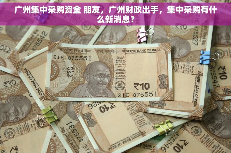 广州集中采购资金 朋友，广州财政出手，集中采购有什么新消息？