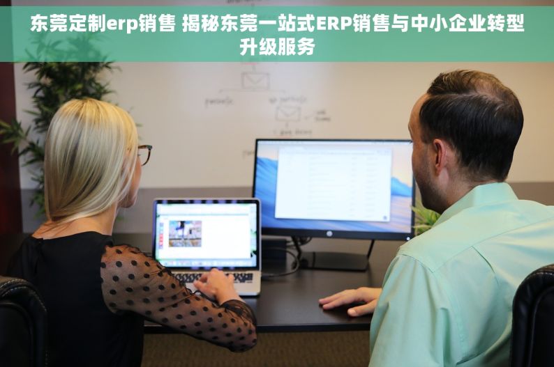 东莞定制erp销售 揭秘东莞一站式ERP销售与中小企业转型升级服务