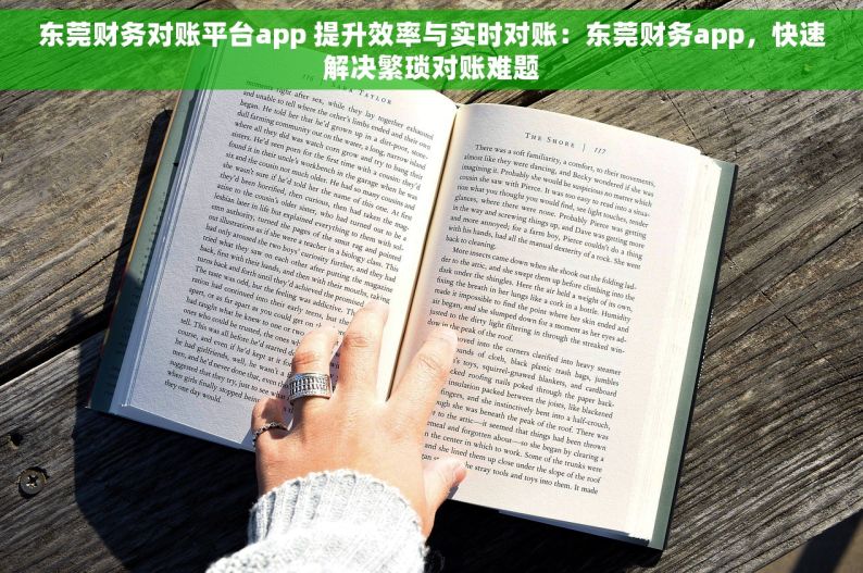 东莞财务对账平台app 提升效率与实时对账：东莞财务app，快速解决繁琐对账难题