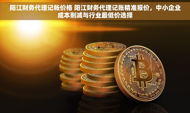 阳江财务代理记帐价格 阳江财务代理记账精准报价，中小企业成本削减与行业最低价选择
