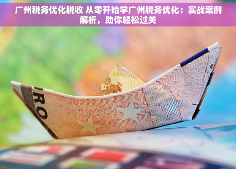广州税务优化税收 从零开始学广州税务优化：实战案例解析，助你轻松过关