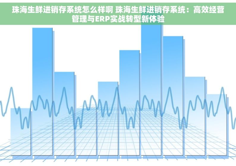 珠海生鲜进销存系统怎么样啊 珠海生鲜进销存系统：高效经营管理与ERP实战转型新体验