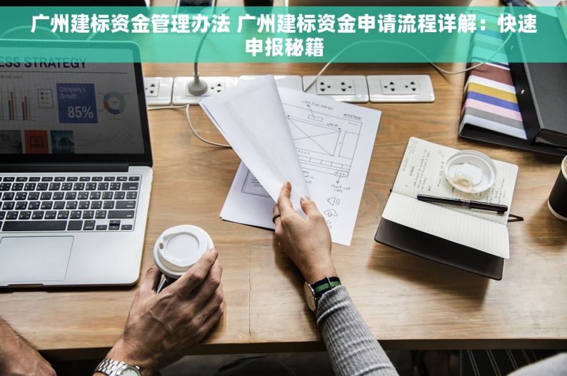 广州建标资金管理办法 广州建标资金申请流程详解：快速申报秘籍