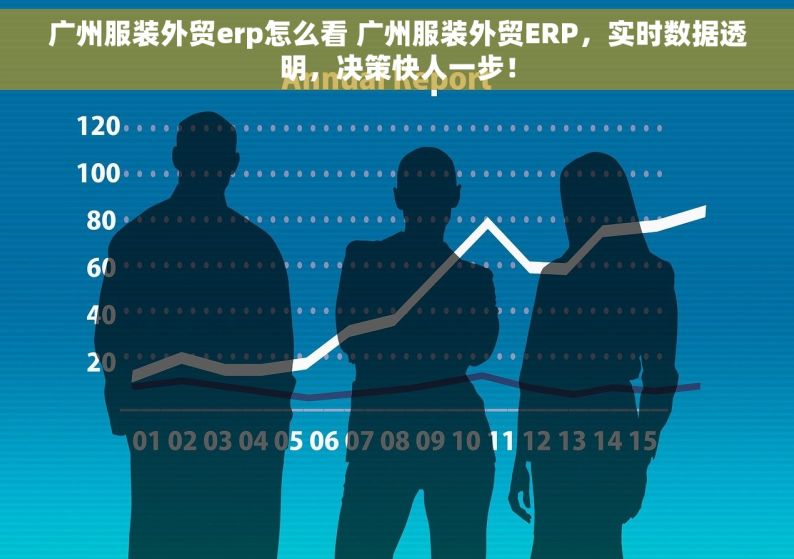 广州服装外贸erp怎么看 广州服装外贸ERP，实时数据透明，决策快人一步！