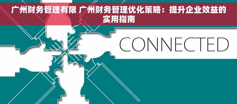 广州财务管理有限 广州财务管理优化策略：提升企业效益的实用指南