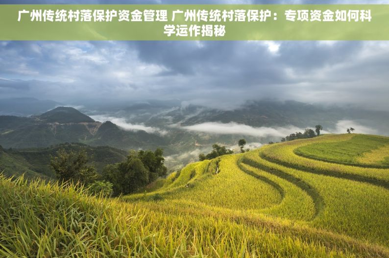 广州传统村落保护资金管理 广州传统村落保护：专项资金如何科学运作揭秘