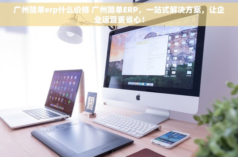 广州简单erp什么价格 广州简单ERP，一站式解决方案，让企业运营更省心！