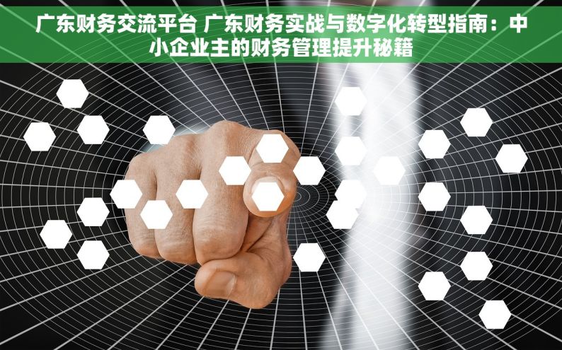 广东财务交流平台 广东财务实战与数字化转型指南：中小企业主的财务管理提升秘籍