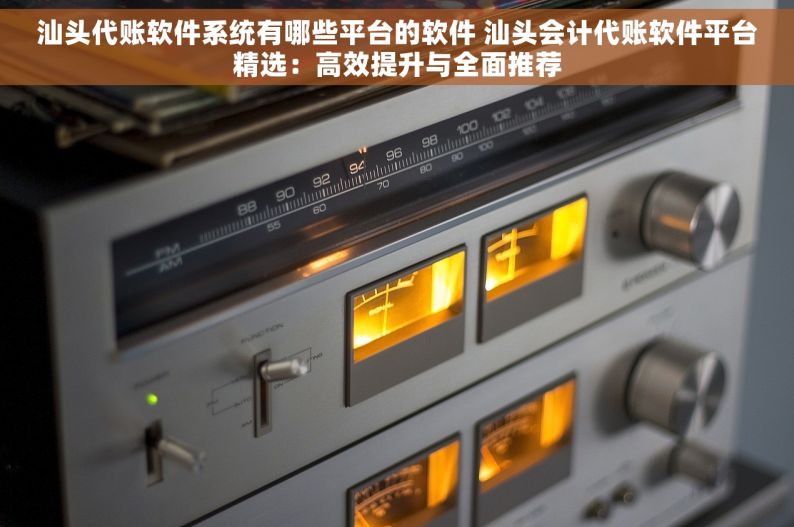 汕头代账软件系统有哪些平台的软件 汕头会计代账软件平台精选：高效提升与全面推荐