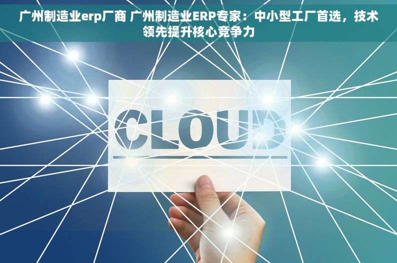 广州制造业erp厂商 广州制造业ERP专家：中小型工厂首选，技术领先提升核心竞争力