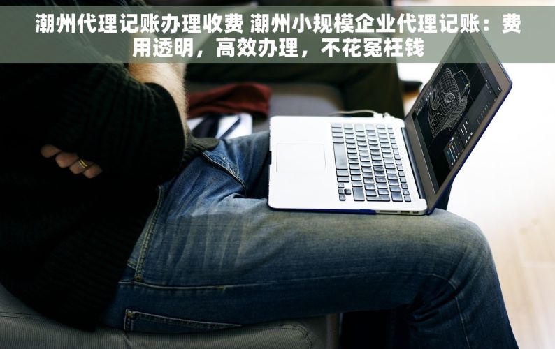 潮州代理记账办理收费 潮州小规模企业代理记账：费用透明，高效办理，不花冤枉钱