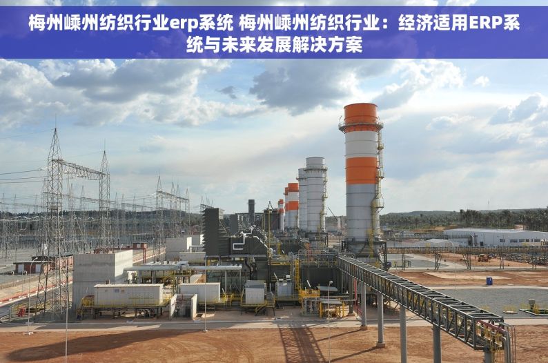 梅州嵊州纺织行业erp系统 梅州嵊州纺织行业：经济适用ERP系统与未来发展解决方案