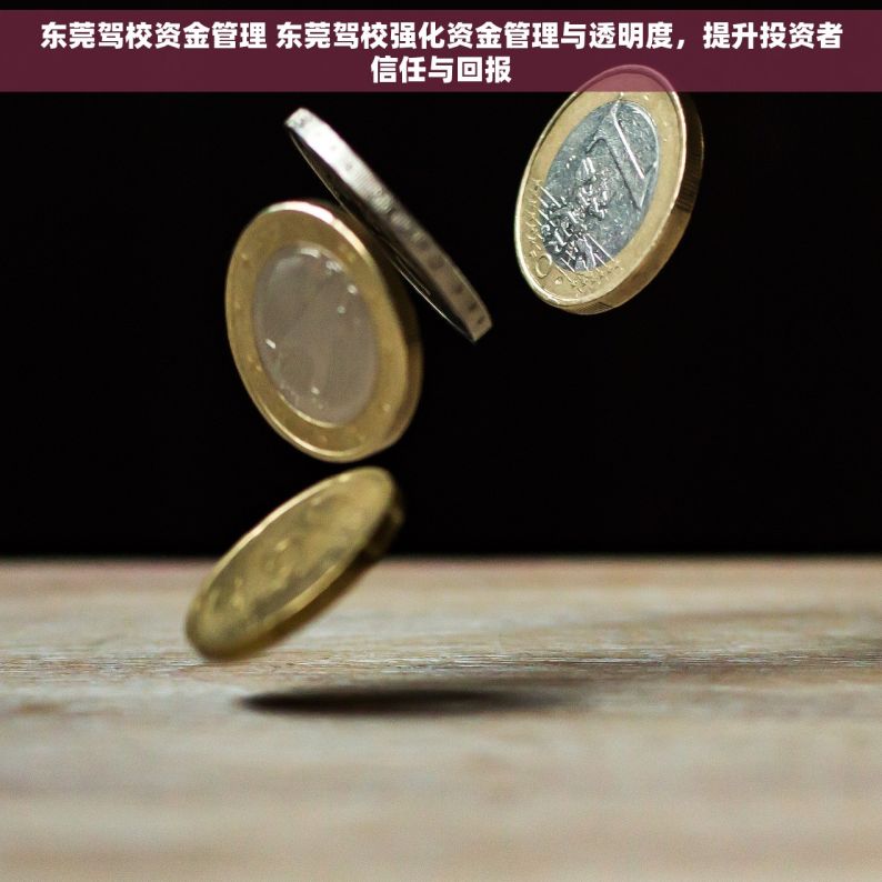 东莞驾校资金管理 东莞驾校强化资金管理与透明度，提升投资者信任与回报