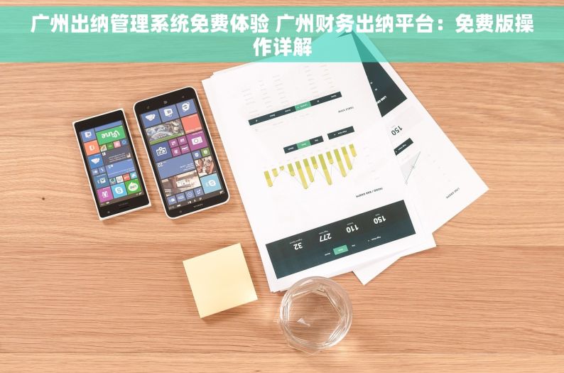 广州出纳管理系统免费体验 广州财务出纳平台：免费版操作详解