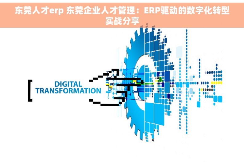 东莞人才erp 东莞企业人才管理：ERP驱动的数字化转型实战分享
