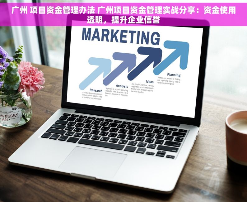 广州 项目资金管理办法 广州项目资金管理实战分享：资金使用透明，提升企业信誉