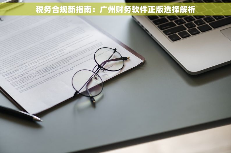 税务合规新指南：广州财务软件正版选择解析