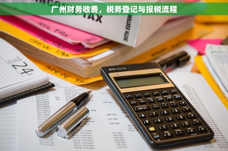 广州财务收费，税务登记与报税流程