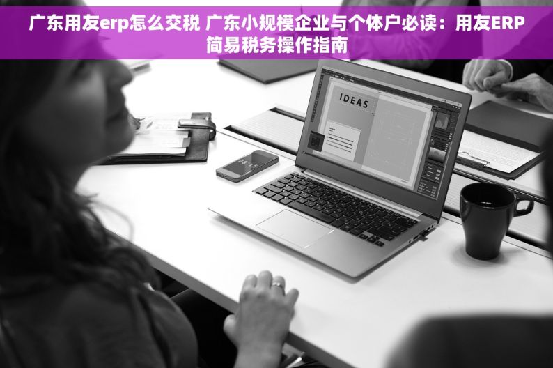 广东用友erp怎么交税 广东小规模企业与个体户必读：用友ERP简易税务操作指南