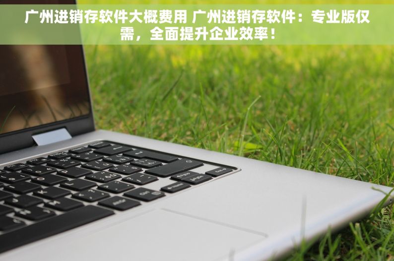 广州进销存软件大概费用 广州进销存软件：专业版仅需，全面提升企业效率！