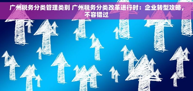 广州税务分类管理类别 广州税务分类改革进行时：企业转型攻略，不容错过