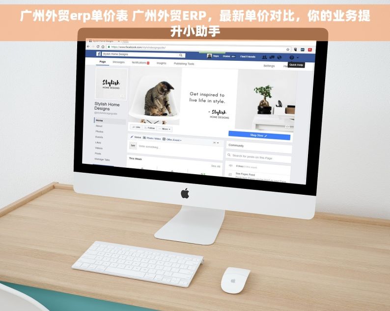 广州外贸erp单价表 广州外贸ERP，最新单价对比，你的业务提升小助手