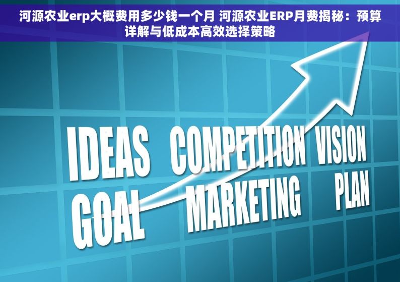 河源农业erp大概费用多少钱一个月 河源农业ERP月费揭秘：预算详解与低成本高效选择策略