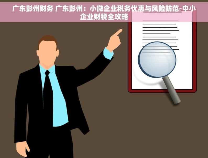 广东彭州财务 广东彭州：小微企业税务优惠与风险防范-中小企业财税全攻略