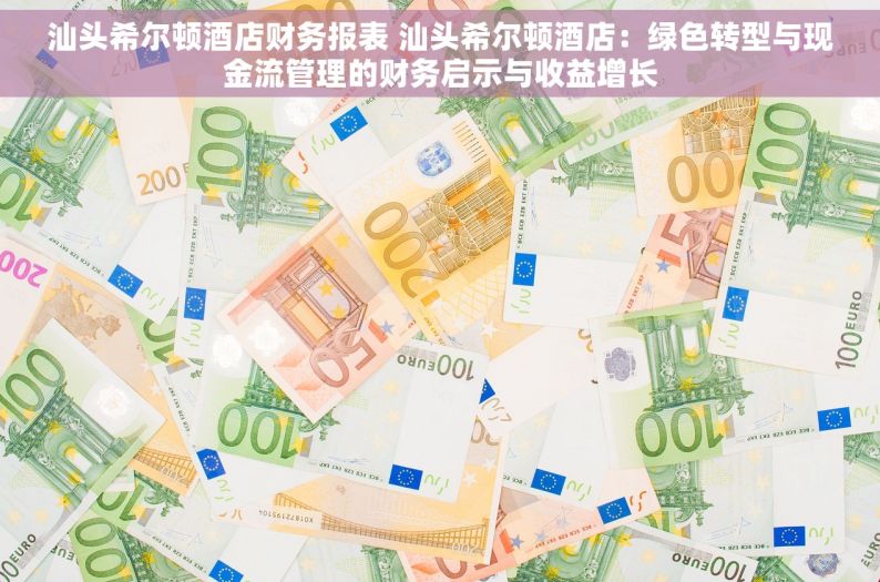汕头希尔顿酒店财务报表 汕头希尔顿酒店：绿色转型与现金流管理的财务启示与收益增长