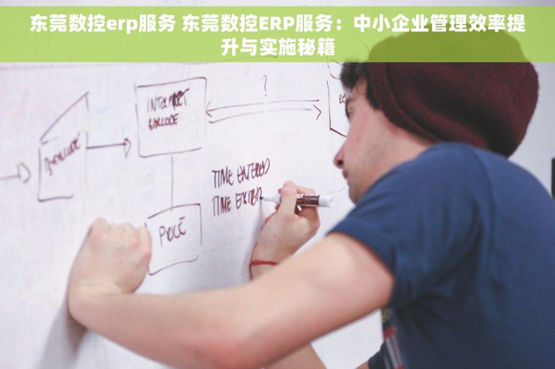 东莞数控erp服务 东莞数控ERP服务：中小企业管理效率提升与实施秘籍