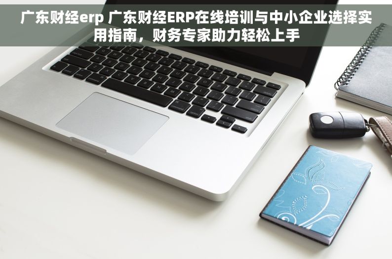 广东财经erp 广东财经ERP在线培训与中小企业选择实用指南，财务专家助力轻松上手