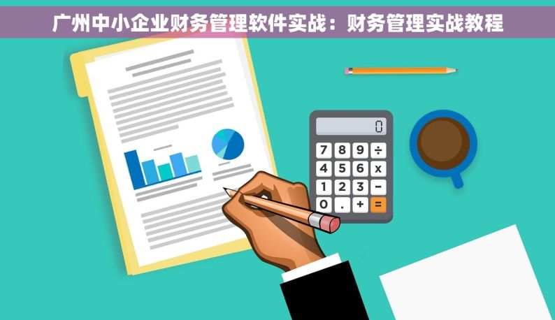 广州中小企业财务管理软件实战：财务管理实战教程