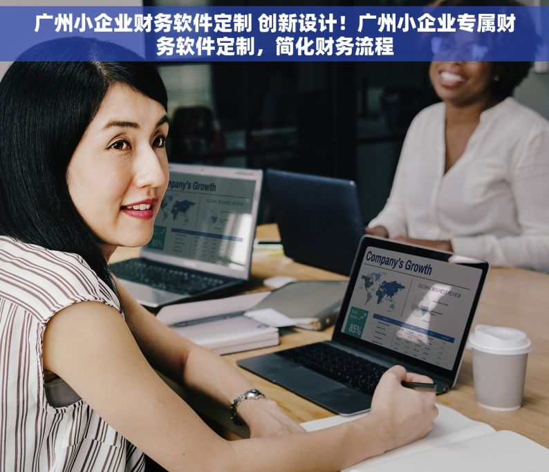 广州小企业财务软件定制 创新设计！广州小企业专属财务软件定制，简化财务流程