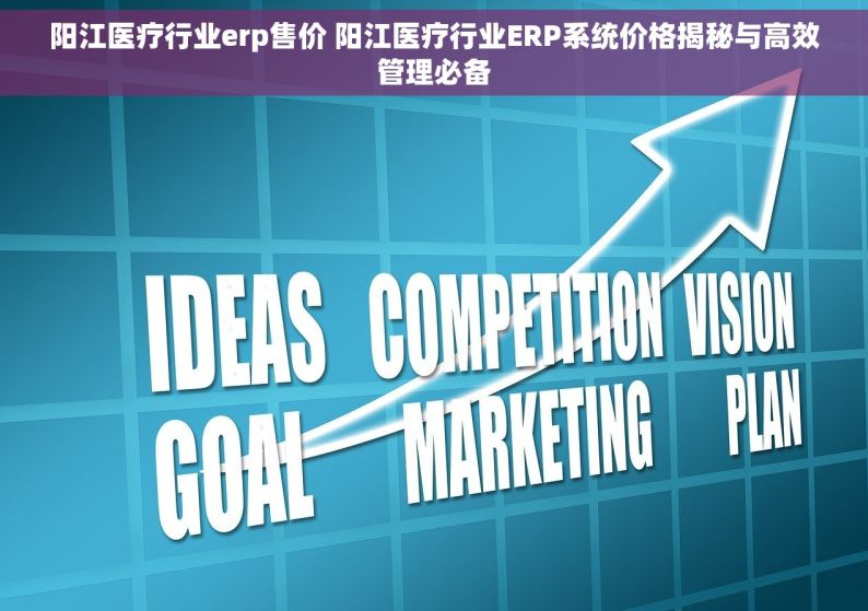 阳江医疗行业erp售价 阳江医疗行业ERP系统价格揭秘与高效管理必备