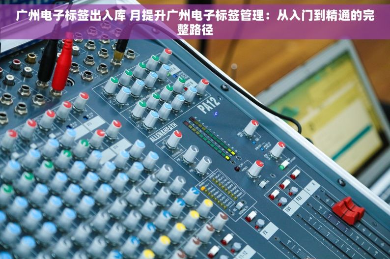 广州电子标签出入库 月提升广州电子标签管理：从入门到精通的完整路径