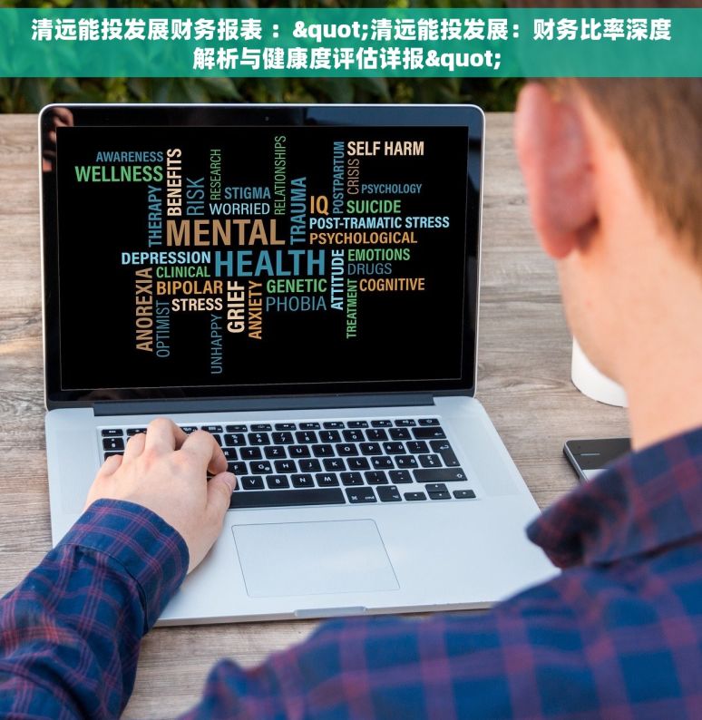 清远能投发展财务报表 ："清远能投发展：财务比率深度解析与健康度评估详报" 