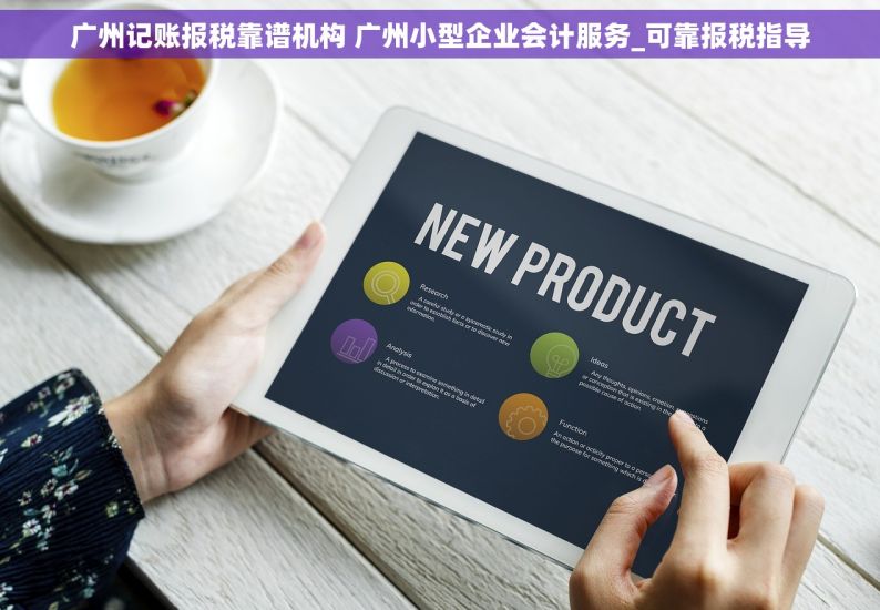 广州记账报税靠谱机构 广州小型企业会计服务_可靠报税指导