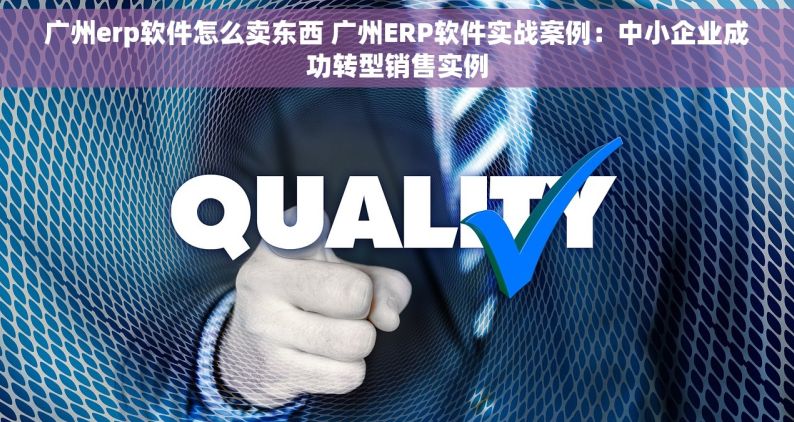 广州erp软件怎么卖东西 广州ERP软件实战案例：中小企业成功转型销售实例