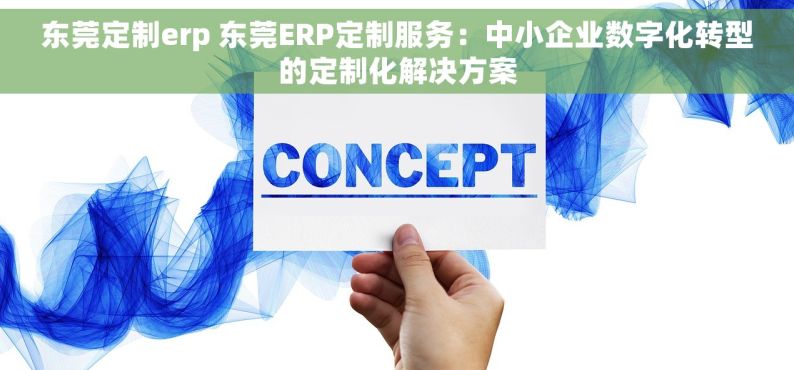 东莞定制erp 东莞ERP定制服务：中小企业数字化转型的定制化解决方案