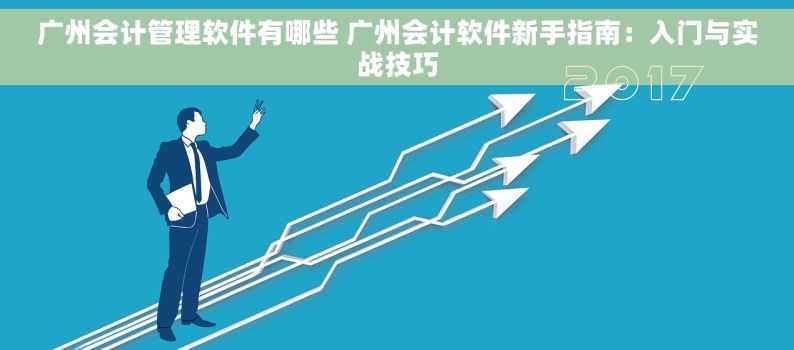 广州会计管理软件有哪些 广州会计软件新手指南：入门与实战技巧