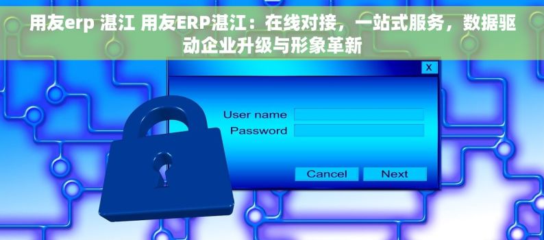 用友erp 湛江 用友ERP湛江：在线对接，一站式服务，数据驱动企业升级与形象革新
