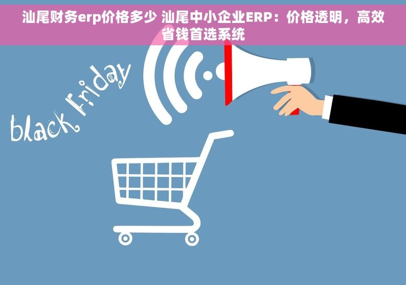 汕尾财务erp价格多少 汕尾中小企业ERP：价格透明，高效省钱首选系统